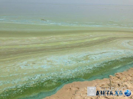 Киевское море внезапно стало изумрудным (фото)