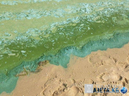 Киевское море внезапно стало изумрудным (фото)