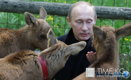 Миллионерша Венди Денг поведала о любовной связи с Владимиром Путиным