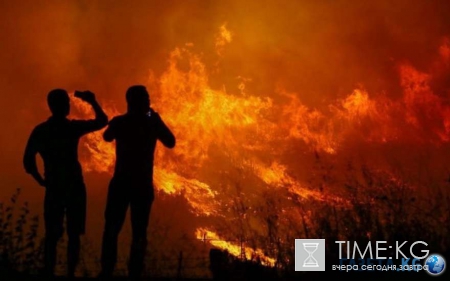 НАТО в страхе: они лишились важной военной базы, ужасающие кадры уже появились в сети