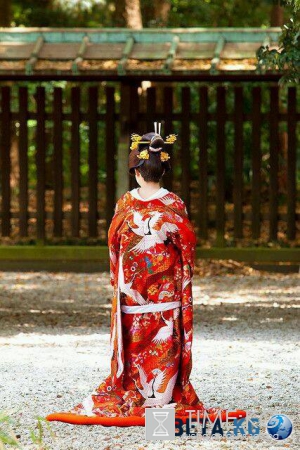 Невероятная коллекция KIMONO! ч.1