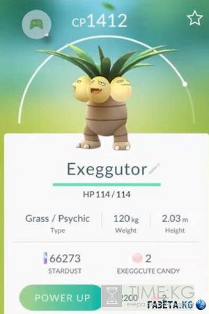 Pokemon Go (Покемон Го): топ самых лучших и сильных покемонов, как и где их поймать