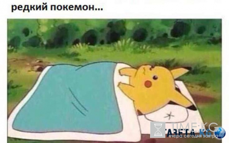 Покемон Го (Pokemon Go) видео: самые безумные поступки игроков ради покемонов