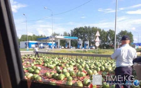 Потрясающий аромат удобрений на трассе Новосибирска: пользователи соцсети раскритиковали арбузное ДТП