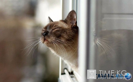 Сегодня погода будет радовать. Правда, не всех