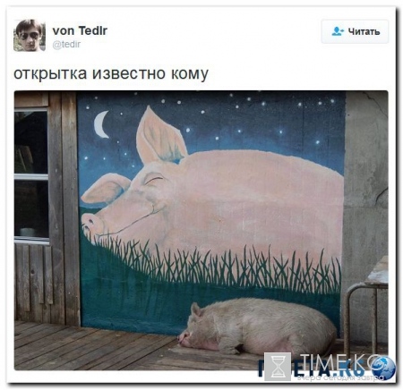 Свежая подборка картинок с Украины. Наловил в интернете.
