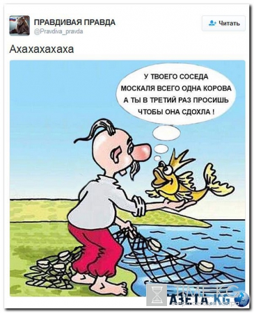 Свежая подборка картинок с Украины. Наловил в интернете.