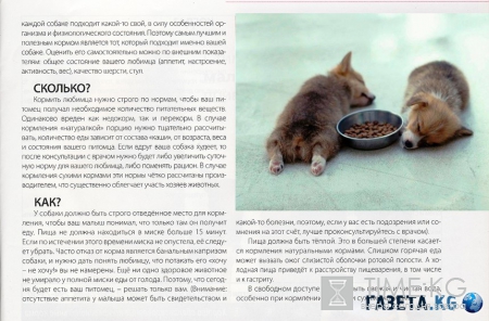 Тема дня. Важно ! Чем кормить щенка?