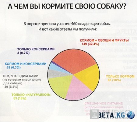 Тема дня. Важно ! Чем кормить щенка?