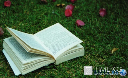 ТОП-5 книжных новинок с летней «альтернативой»