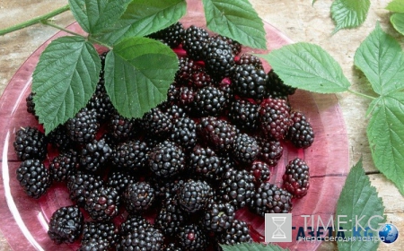 ТОП-5 продуктов, предотвращающих инсульт