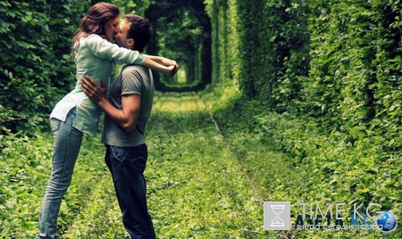 Украина великая: Клевань – Тоннель любви (фото)