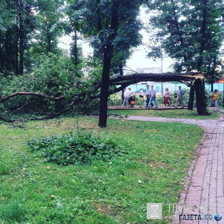Ураган в в Москве и Подмосковье: разрушены 100 домов, вырваны из земли 200 деревьев, есть жертвы