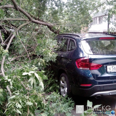 Ураган в в Москве и Подмосковье: разрушены 100 домов, вырваны из земли 200 деревьев, есть жертвы