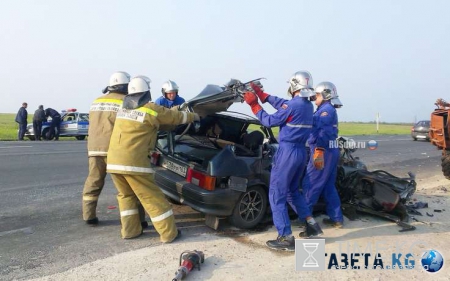 В ДТП в Сызрани двое мужчин и собака оказались под пожарной машиной