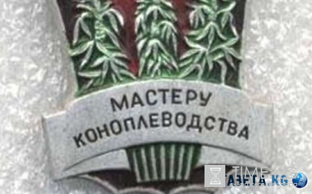 В Приморском крае обнаружена плантация конопли, принадлежащая местному пенсионеру