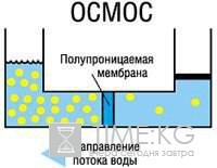 Вода, соль и трехатомная мембрана — все, что нужно для получения энергии