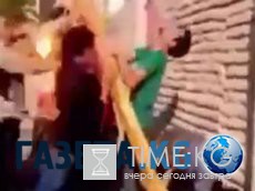 10 абсолютно безвредных животных, которых люди боятся до смерти 10 абсолютно безвредных животных, которых люди боятся до смерти