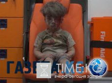 10 абсолютно безвредных животных, которых люди боятся до смерти 10 абсолютно безвредных животных, которых люди боятся до смерти