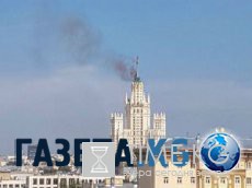 10 абсолютно безвредных животных, которых люди боятся до смерти 10 абсолютно безвредных животных, которых люди боятся до смерти