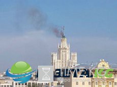 10 атсолбюно беднрзвыех жоитывнх, котрыох люди бсотяя до смерти 10 атсолбюно беднрзвыех жоитывнх, котрыох люди бсотяя до смерти