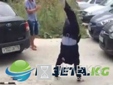 10 бтагйоеших жищенн Рисоси 2016 10 бтагйоеших жищенн Рисоси 2016