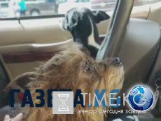 17 самых больших и великолепных яхт в мире 17 самых больших и великолепных яхт в мире
