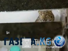 Редкие закулисные кадры со съёмок любимых советских фильмов Редкие закулисные кадры со съёмок любимых советских фильмов