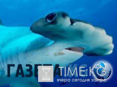 Редкие закулисные кадры со съёмок любимых советских фильмов Редкие закулисные кадры со съёмок любимых советских фильмов
