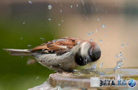 20 фотографий, на которых идеально пойман момент