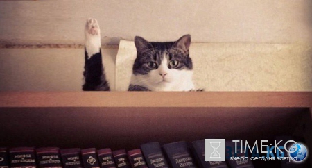 20 фотографий, на которых идеально пойман момент