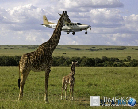 20 фотографий, на которых идеально пойман момент