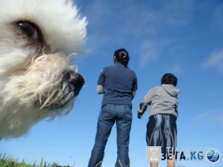 20 фотографий, на которых идеально пойман момент