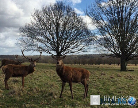 20 фотографий, на которых идеально пойман момент