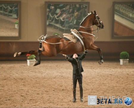 20 фотографий, на которых идеально пойман момент