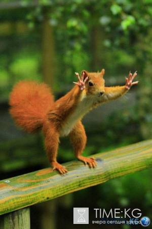 20 фотографий, на которых идеально пойман момент