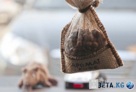 24 хитрости, с которыми ваш автомобиль засверкает чистотой