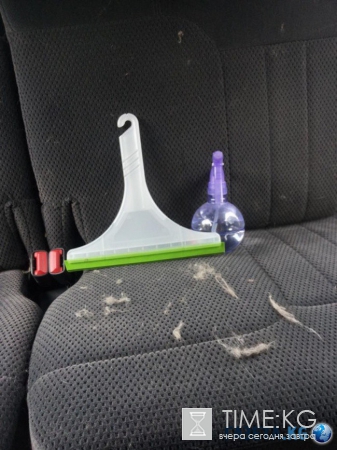 24 хитрости, с которыми ваш автомобиль засверкает чистотой