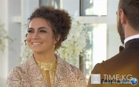 Анетти из «Холостяка»: Обжигающий айсберг (соционический портрет)