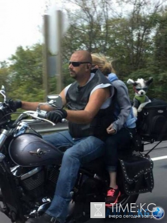 Автоприколюхи для настроения