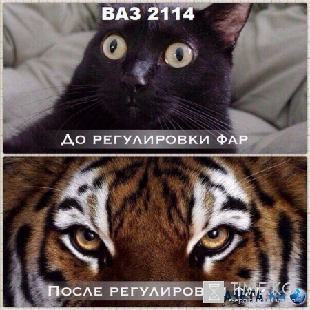 Автоприколюхи для настроения