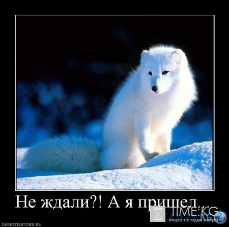 Ближайшее окружение Путина лишилось «индульгенции»