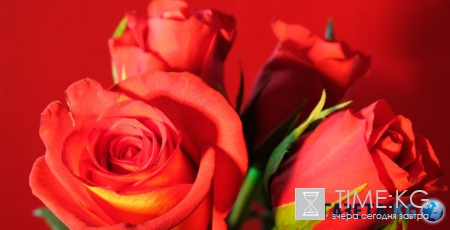 Что марокканцу хорошо, то русскому не понять