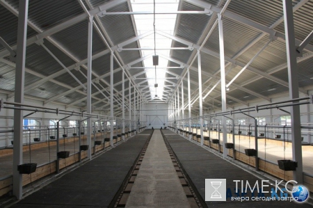 Достижения России за последние сутки 19.08.2016