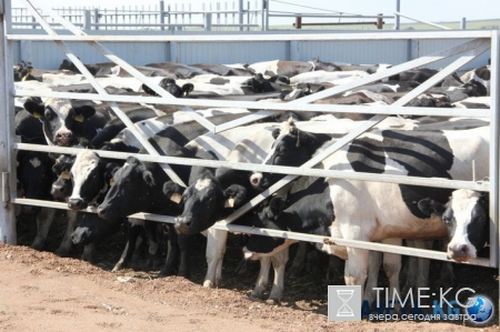 Достижения России за последние сутки 19.08.2016