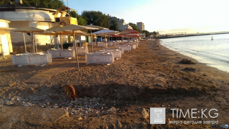Не только пустые пляжи Крыма. Фото. Много.