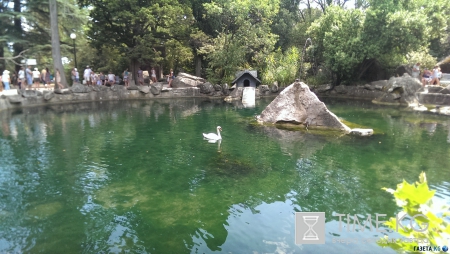 Не только пустые пляжи Крыма. Фото. Много.