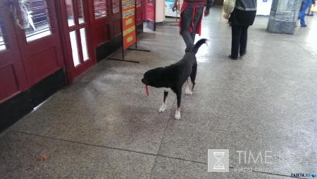 Не только пустые пляжи Крыма. Фото. Много.