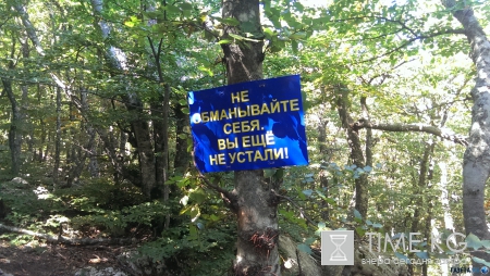 Не только пустые пляжи Крыма. Фото. Много.