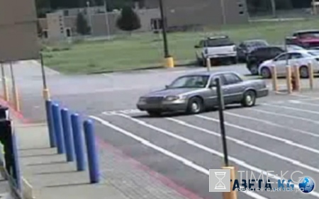 Необычный угон: в США две собаки, управляя машиной, устроили ДТП